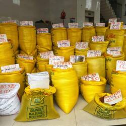 Choisir parmi deux cents variétés de riz