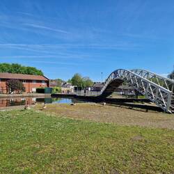 Etrurias geese resting quietly under the unusual bridge.
