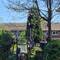 You might be able to spot the doves from the dove house perching in the sycamore