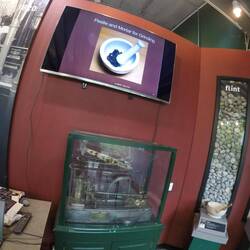 Examples of flint and bone to grind