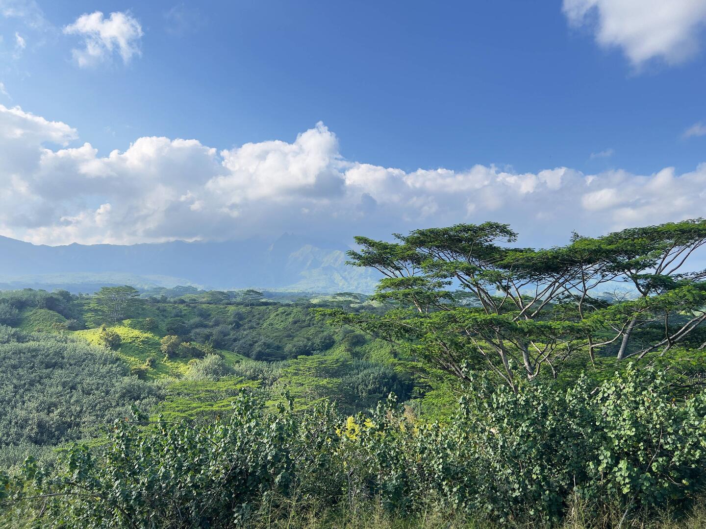 Ausblick auf halber Strecke im Inneren Kauis
