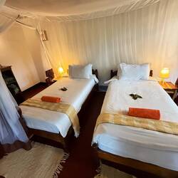 ...und ein Bettentraum für die Landy-Prinzen 💫