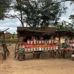 ...Abwechslung am Straßenrand... ...Holzkohle muss den Tomaten weichen...
