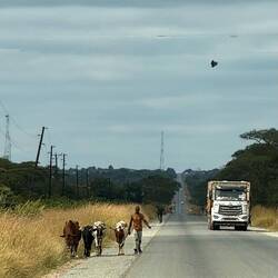 ...D 9: Ein Weg für alles was laufen kann/muss....
