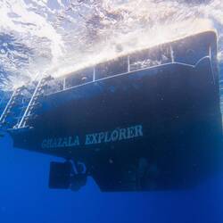 Returning to our boat