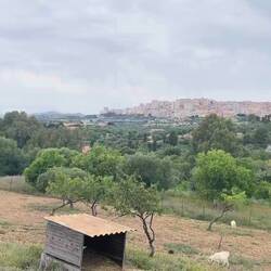 Blick auf die Stadt Agrigrent