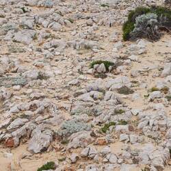 Im wahrsten Sinne des Wortes: Steine auf dem Weg mit keinem Ende in Sicht 🙈🙈