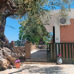 Theas House in Alikanas