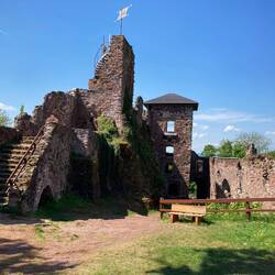 Burgruine Hohnstein