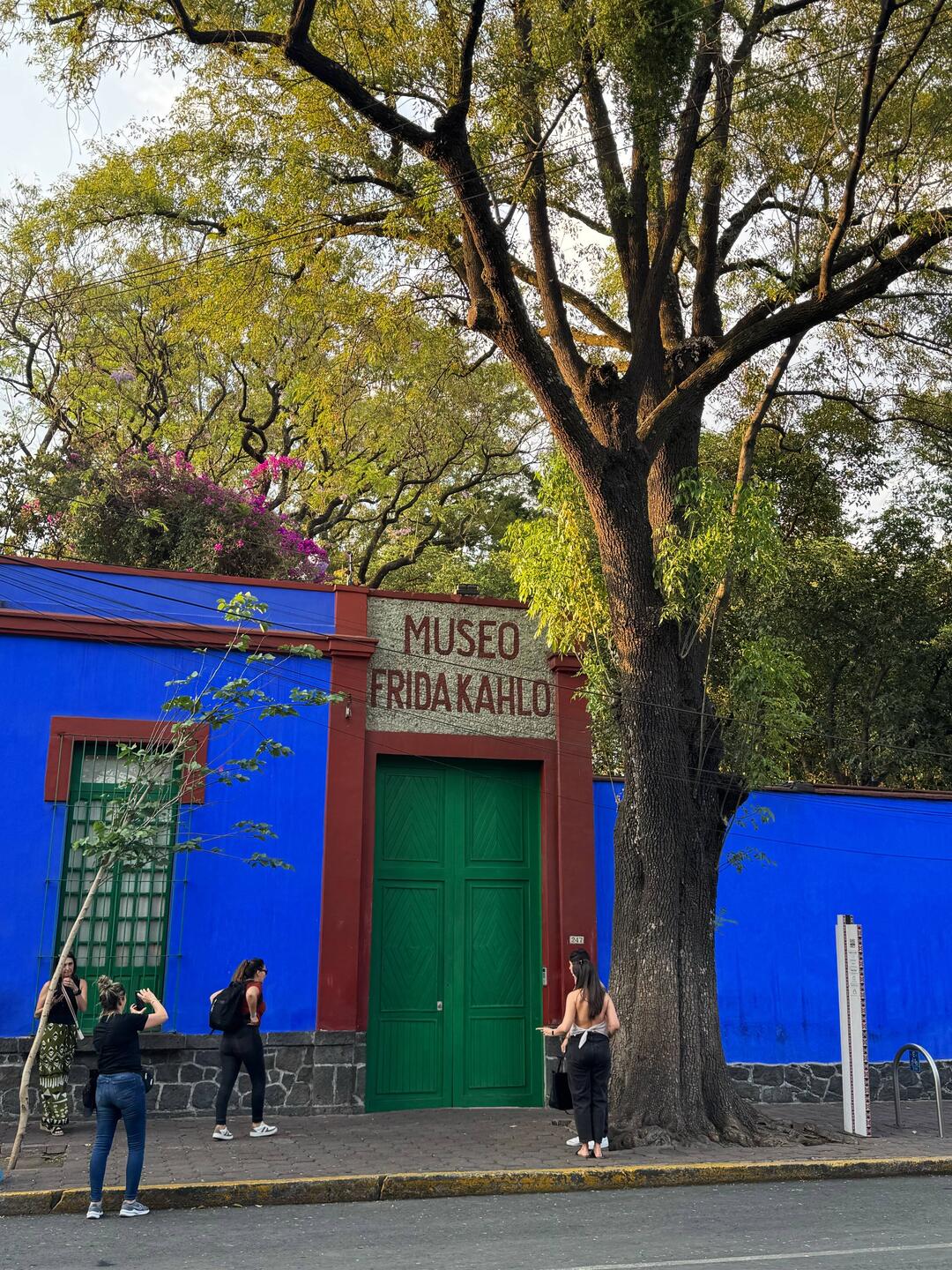Aufwartung bei Frida Kahlo - das zweite Muss meiner Reise