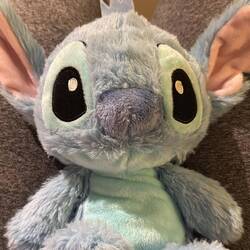 Mein neuer Reisebegleiter