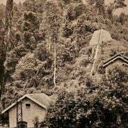 Bis jetzt das Highlight vom Cat Cat Dorf.