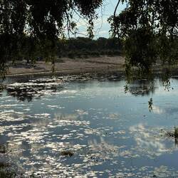 Viewpoint Horseshoebend