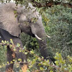 Da sind sie 🥰- lang ersehnt