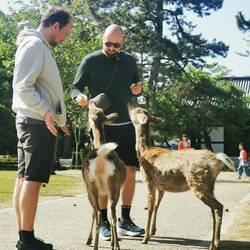 Die Girls verstehen nur nicht, wenn man leere Taschen hat