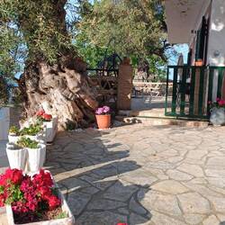 Theas House in Alt-Alikanes