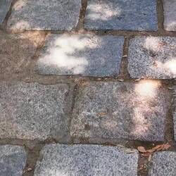 Wahnsinn, was die Rehe alles abkönnen. Und das jeden Tag