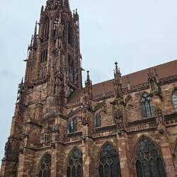 Freiburger Münster