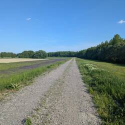 Hier komme ich nur langsam voran