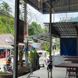 Auch den Hunden ist warm - diese Mausi stand eine Weile vor dem Ventilator 😅