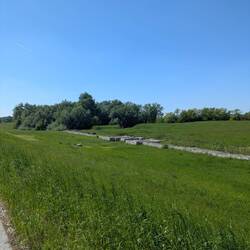 Römische Ausgrabungen