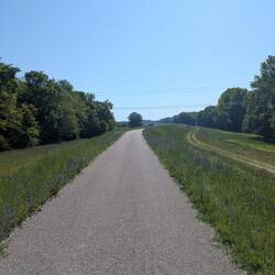 Wieder am Donauradweg angekommen
