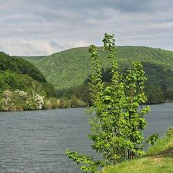 Lovely river views from the motorhome