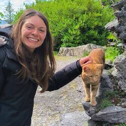 Gattino di Garnish Island