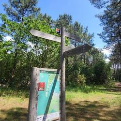 Wir sind sehr begeistert von den Wegen.