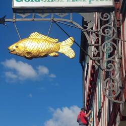 ....und gegenüber gibt's den goldenen Karpfen.