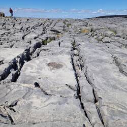Das Karstfeld Burren
