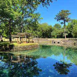 Man sieht jeden Fisch