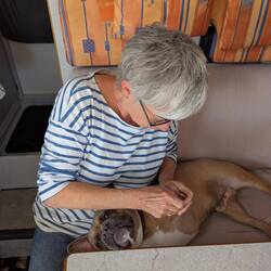Bruce: " Wunderbar diese Fußmassage von Frauchen 🥰🤩🫠. Nach 80 km hab ich die sicher verdient!"