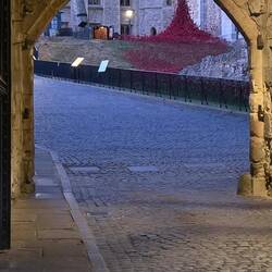 Bloody Tower with Poppies on the other side.