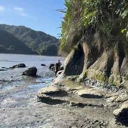 Nils, heute Morgen bei Ebbe