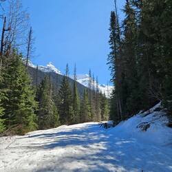 Loufe im Glacier NP
