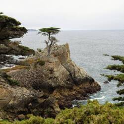 DAS Highlight der Gegend.