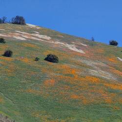 Grass Mountain