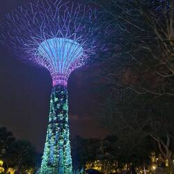 Gardens by the bay at night