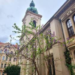 Loved this flowering tree