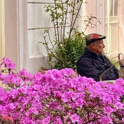 A gentleman enjoying the gardens near Lennon Wall