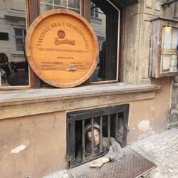 The Oldest Medieval Pub in Prague where we ate dinner