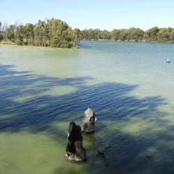 Confluence of the Murray (R)/Darling (L) rivers