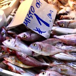 legal gefangenen Fisch können sich hier nur wenige leisten