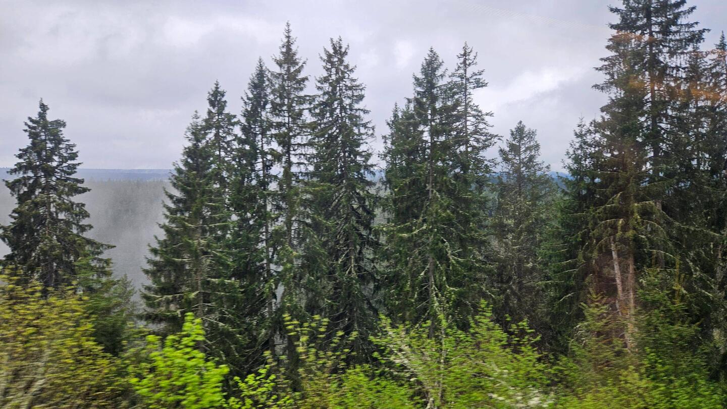 Dicke Wolken ☁️ überm Schwarzwald