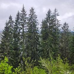 Dicke Wolken ☁️ überm Schwarzwald