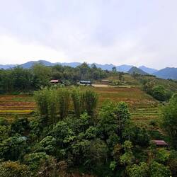 Vereinzelt noch die Häuser der Minoritäten.