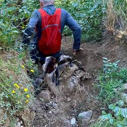 Trail eroded to hip depth and disappearing over the escarpment below