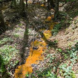 Die Färbung des Wassers kommt durch den starken Eisengehalt