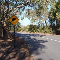 -- was sind Bandicoots ??? --